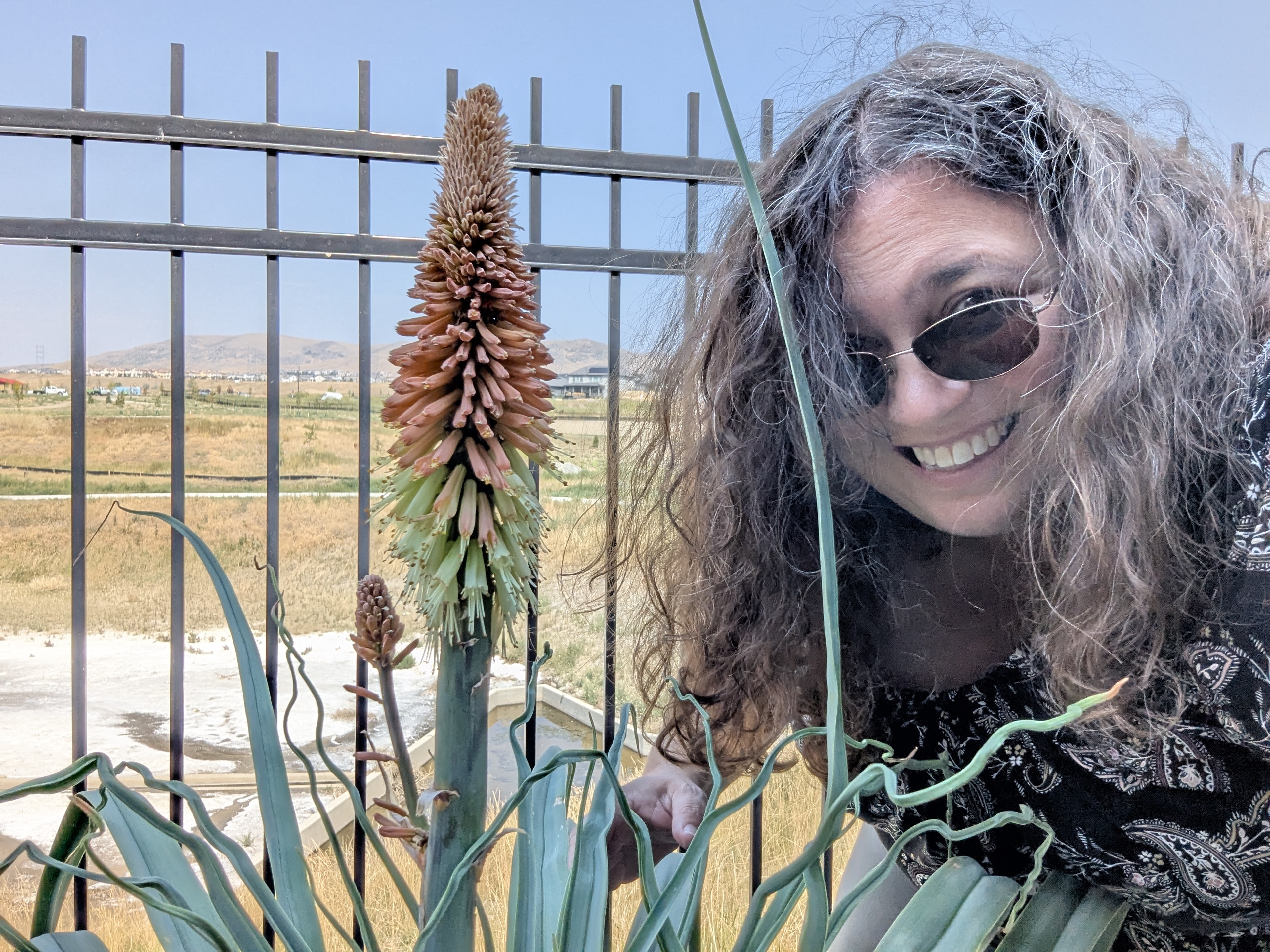 Morrison, Colorado, Torch Yucca